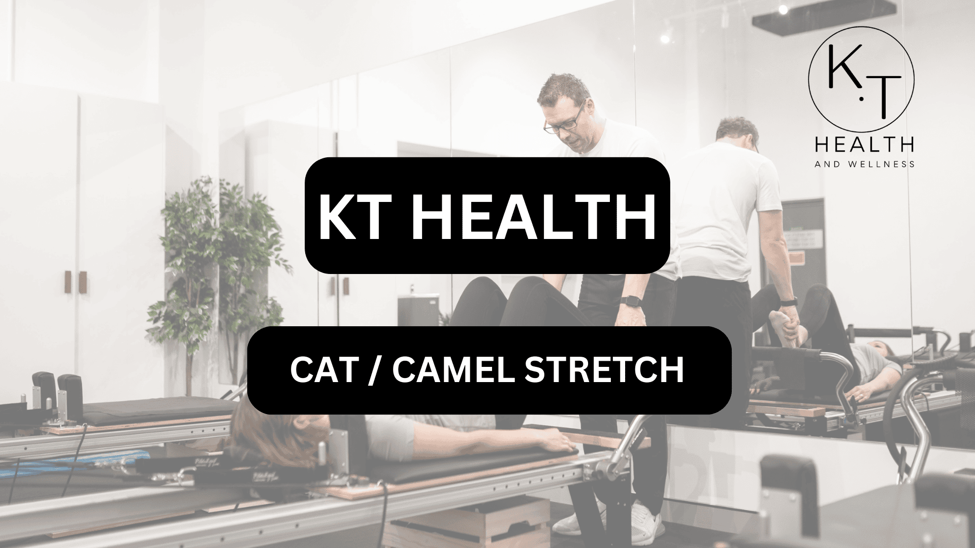 CAT / CAMEL STRETCH