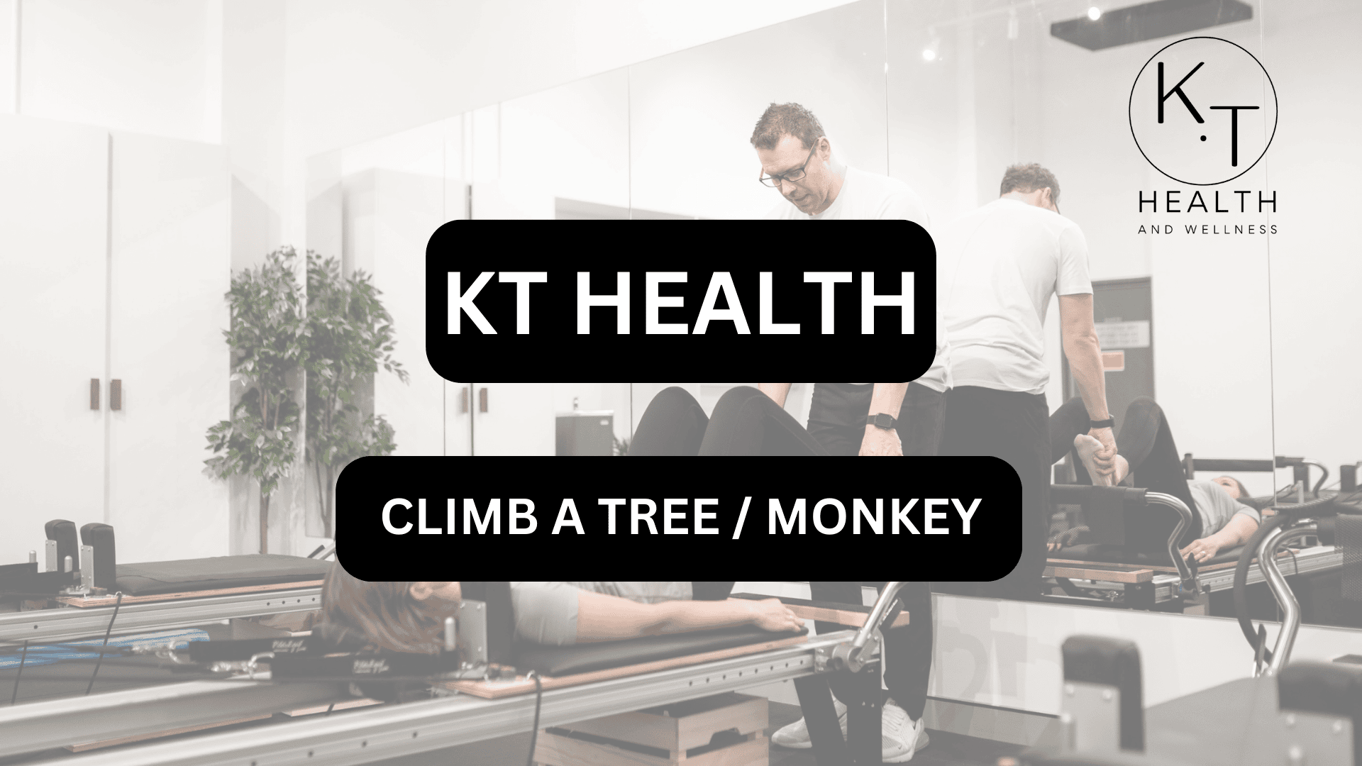 CLIMB A TREE / MONKEY