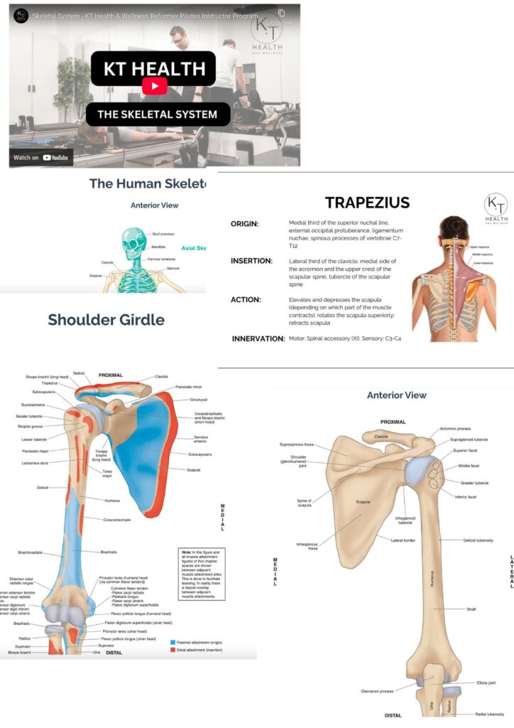 KT reformer pilates instructor course, reformer teacher training, reformer pilates teacher course, how to become a reformer pilates instructor